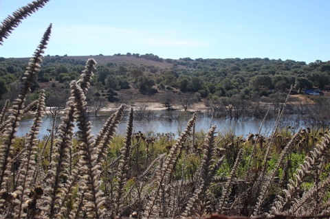 reservoir in Alcornocales Natural Park